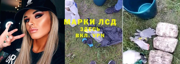 прущие крисы Надым