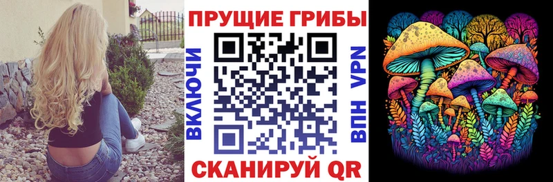 mega рабочий сайт  где купить   Нерехта  Псилоцибиновые грибы прущие грибы 